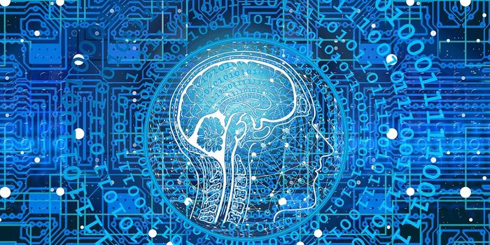 The Most Effective Methods to Improve Your Memory