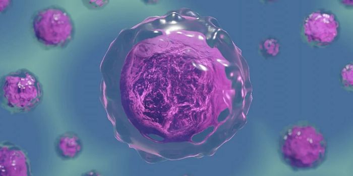 Using Modified Stem Cells, Researchers Make Old Mice Youthful Again