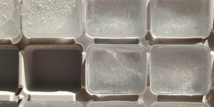 Can Freezing Nerves That Signal Hunger Treat Obesity?