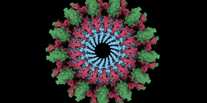 Scientists Gain Insight Into How Bacteria Become Resistant to Drugs