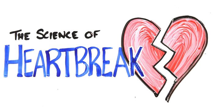 The Science of Heartbreak