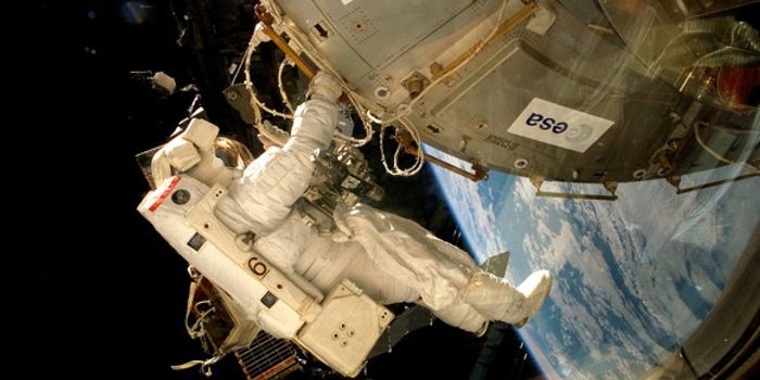 Fungi & Lichens Survive 18-month Trial in Mars-like Conditions