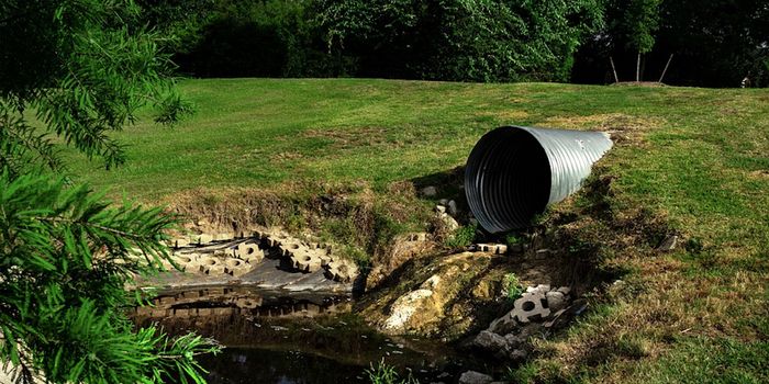 Where is all the Methane in Our Atmosphere Coming From?