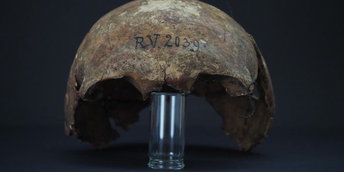 Plague Bacteria Found In the Remains of a 5,000 Year Old Man