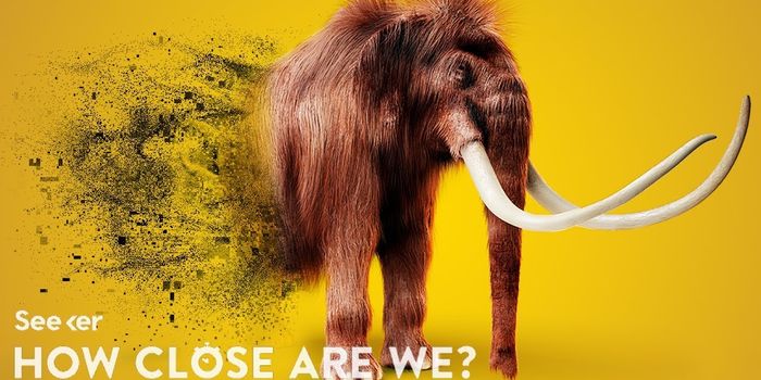 Should we use Genetics to Bring Back Extinct Species?