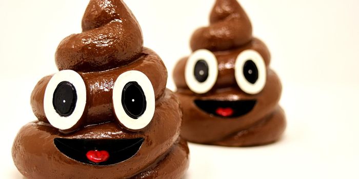Does the Secret to Immunotherapy Lie in...Poop?