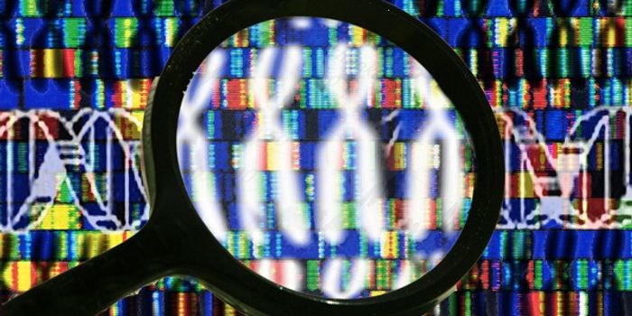 Researchers Develop Database on Healthy Immune System