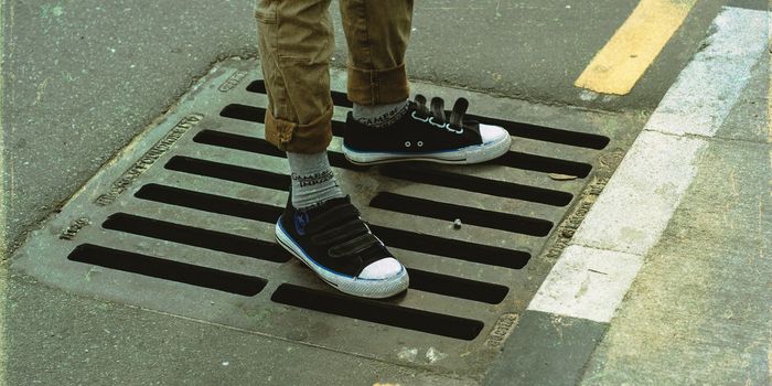 Cryptic Variant Found in NYC's Sewers