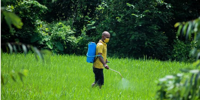 Scientists Enhance Pesticide Exposure Monitoring Methods