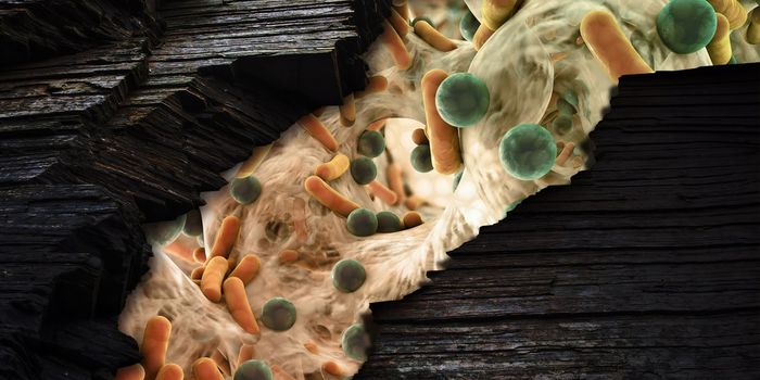 phyloFlash: New Software for Microbial Analysis