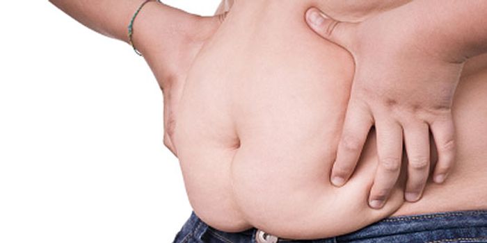 TSRI Scientists Find Brain Hormone that Triggers Fat Burning