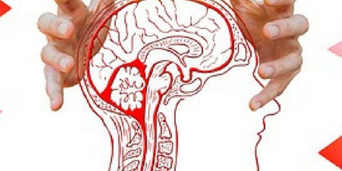 CTE: Not Just for NFL Players