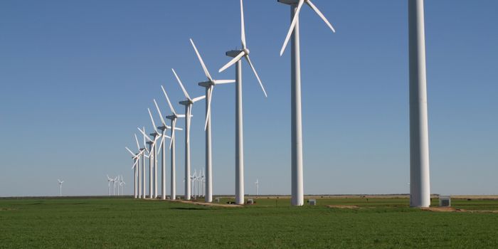 Windmills are good for the environment, but not so much for your health