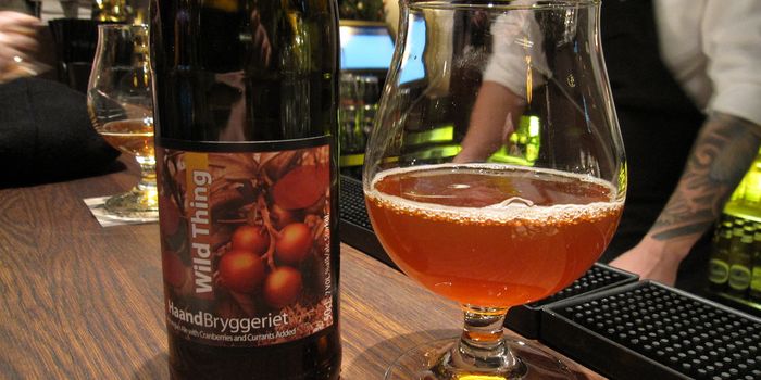 New Hybrid Yeast Found in Microbrew