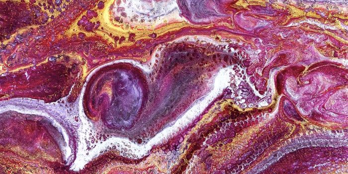 Human Protein Crucial to Infection & Disease is Discovered