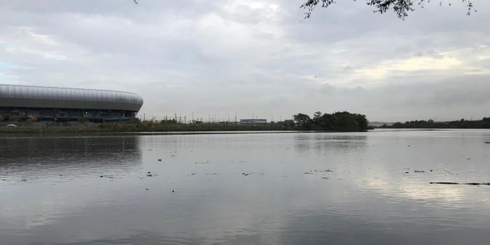 How Microbes Can Help Clean a Toxic River