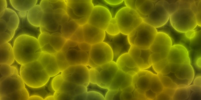 Tracking the Source of Bacteria in a Microbiome