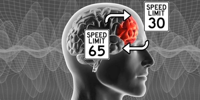 Thalamus plays a role in cognitive flexibility