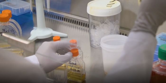 Chronic Inflammation Permanently Alters Gut Cells