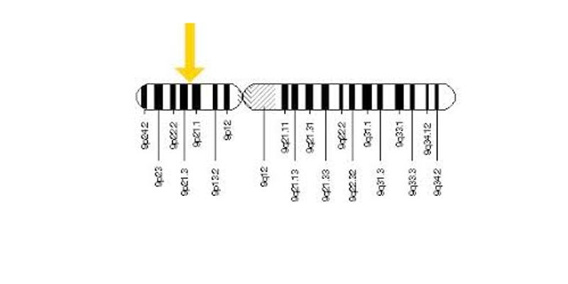 C9orf72 Gene | | Content Tag