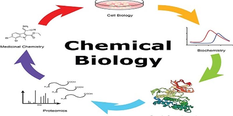 Chemical Biology  