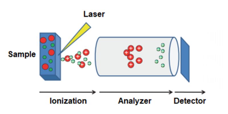 MALDI-TOF | Webinars