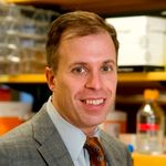 Translating Airway Gene-Expression into a Biomarker for Lung Cancer and COPD