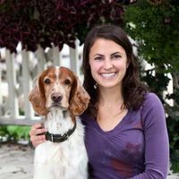 Responsible Breeding Practices - CE Credit