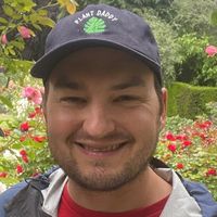 Optimizing dsRNA Removal in IVT mRNA: Strategies for Enhanced Translation and Reduced Immunogenicity