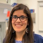 Hybrid Capture SARS-CoV-2 NGS Assay and COVID-Dx: a robust end to end solution for viral detection and surveillance of genetic variants