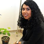 Dissecting the ecological and molecular mechanisms underlying the interaction between plant viruses and their insect vectors