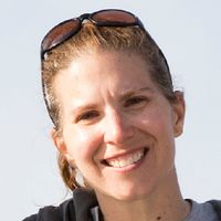 Great Shearwaters: The plastics within.