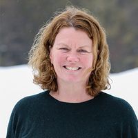 Development and Validation of Luminex Assays for Use in Pre-Clinical and Clinical Sample Testing