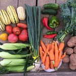 Supporting Community Agriculture: Growing Health Across the Commonwealth!