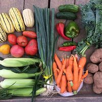Supporting Community Agriculture: Growing Health Across the Commonwealth!