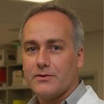 From Viral Infection to Neurodegeneration: The Role of Innate Immunity