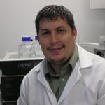 Selecting the right resin to achieve optimal results, from high throughput batch to process scale protein purification