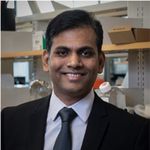 Stimuli-responsive Nanomaterials for Imaging Immunotherapy Response