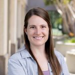 Investigating the Spatial Organization of the Immune Response in Tumors: Insights from the STAMP Model