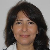 Building relevant ADME/Tox models with primary hepatocytes, molecular probes and high content imagin