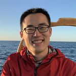 In Vivo Force Measurement with Two, One, Half and Zero GFP