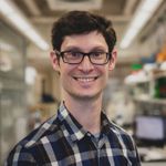 Development of tools enabling tunable, in situ delivery of therapeutics using probiotics