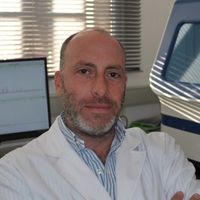 Rapid DNA Technology: Fiction or Reality?