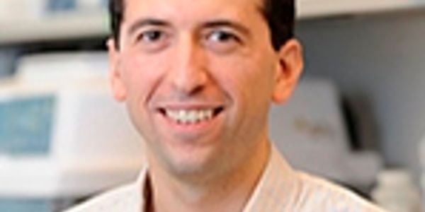 Genomic Approaches to Discover Biomarkers of Drug Response in Cancer