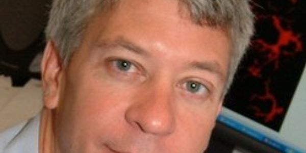 NMDA receptor regulation in health and disease