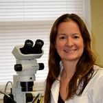 The Future of Mouse Embryo Transfer: Achieving the 3Rs with the NSET Device