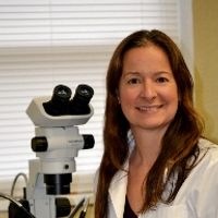 The Future of Mouse Embryo Transfer: Achieving the 3Rs with the NSET Device