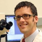 Molecular Diagnostic Tests To Advance Health Monitoring of Laboratory Zebrafish