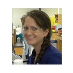 Strategies to normalize miRNA expression in serum and plasma