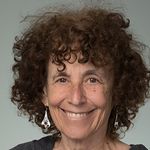 Coronaviruses: History, Biology and Innate Immune Antagonism